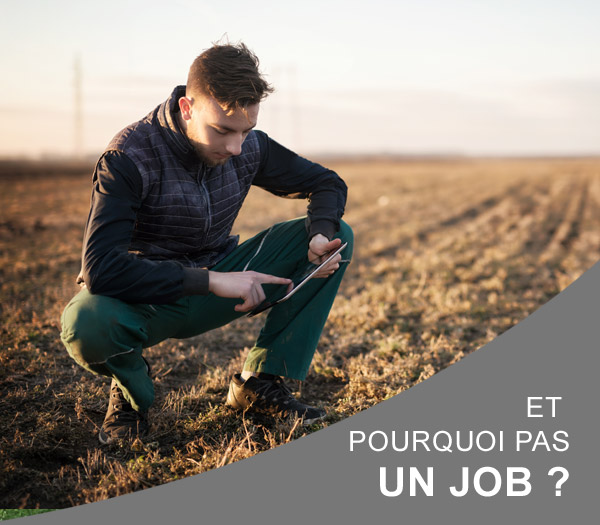 à la recherche d'un emploi... solor à un job pour vous en essai de sol en belgique