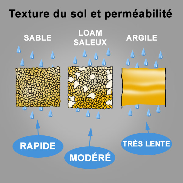 perméabilité des sols